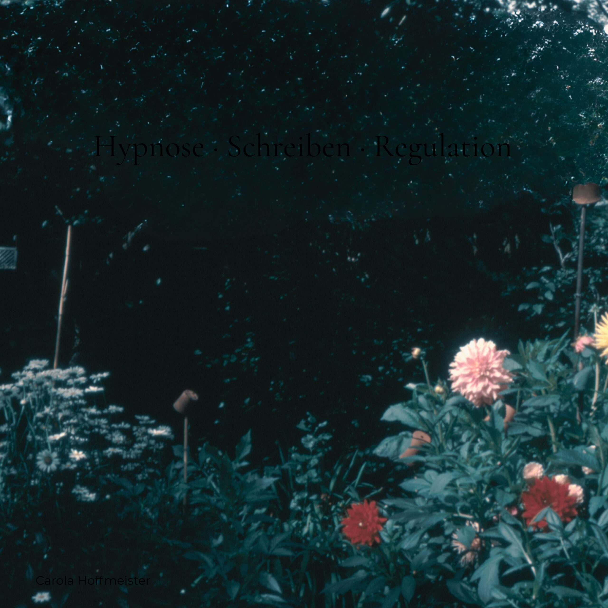 Gary Bruno Schmidt über Selbstheilungskräfte